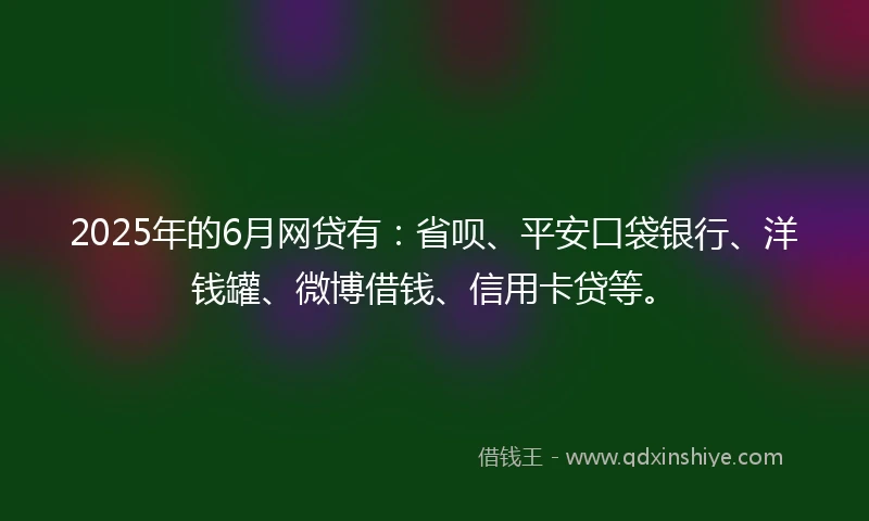 2025年的6月网贷有：省呗、平安口袋银行、洋钱罐、微博借钱、信用卡贷等。