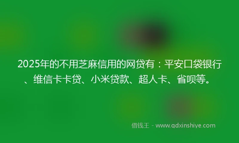 2025年的不用芝麻信用的网贷有：平安口袋银行、维信卡卡贷、小米贷款、超人卡、省呗等。