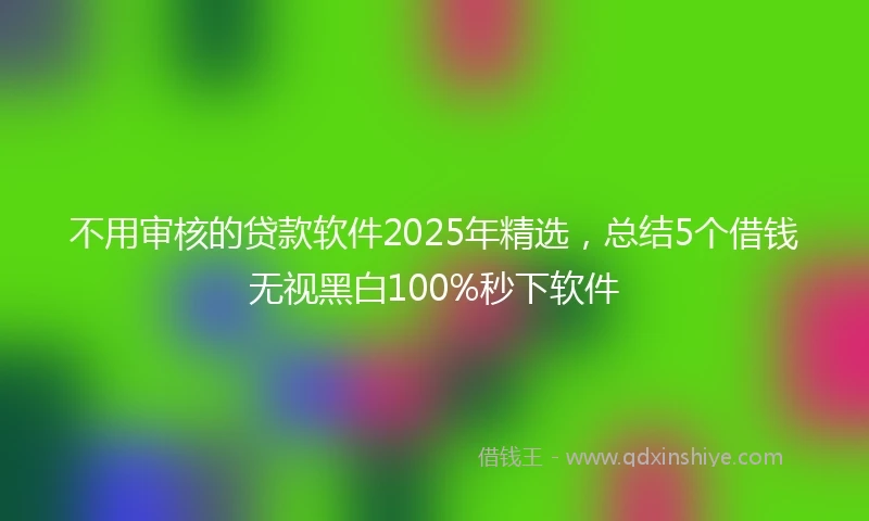 不用审核的贷款软件2025年精选，总结5个借钱无视黑白100%秒下软件