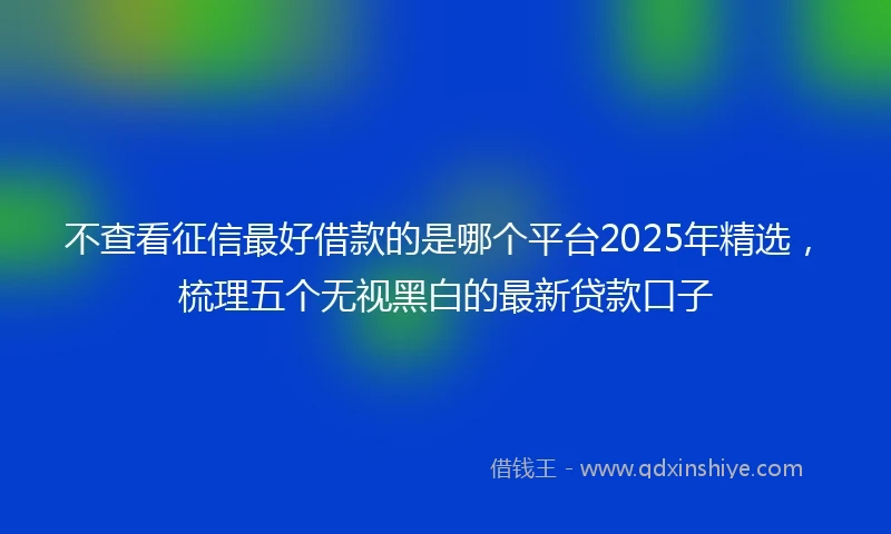 不查看征信最好借款的是哪个平台2025年精选，梳理五个无视黑白的最新贷款口子