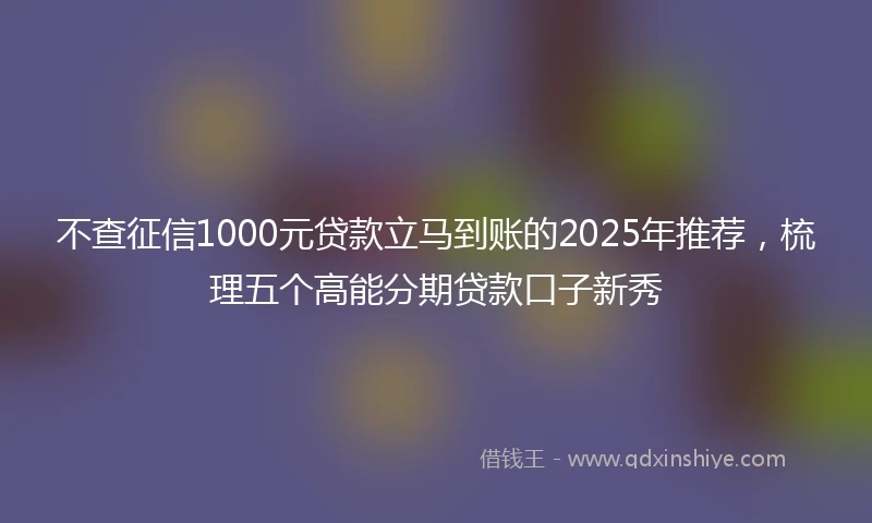 不查征信1000元贷款立马到账的2025年推荐，梳理五个高能分期贷款口子新秀
