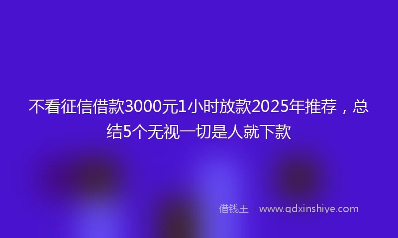 不看征信借款3000元1小时放款2025年推荐，总结5个无视一切是人就下款