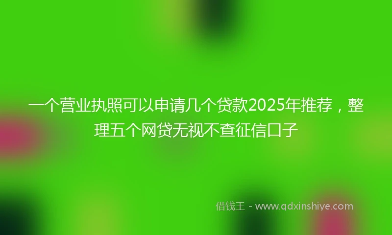 一个营业执照可以申请几个贷款2025年推荐，整理五个网贷无视不查征信口子