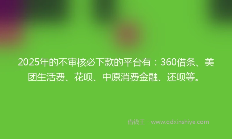2025年的不审核必下款的平台有：360借条、美团生活费、花呗、中原消费金融、还呗等。
