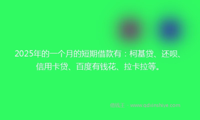 2025年的一个月的短期借款有：柯基贷、还呗、信用卡贷、百度有钱花、拉卡拉等。
