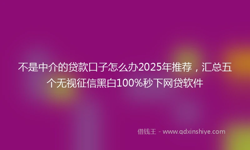 不是中介的贷款口子怎么办2025年推荐，汇总五个无视征信黑白100%秒下网贷软件