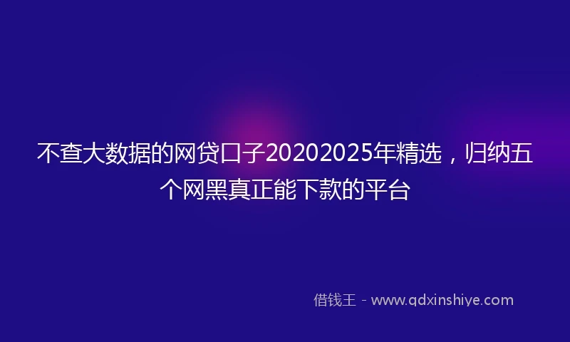 不查大数据的网贷口子20202025年精选，归纳五个网黑真正能下款的平台