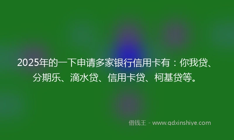 2025年的一下申请多家银行信用卡有：你我贷、分期乐、滴水贷、信用卡贷、柯基贷等。