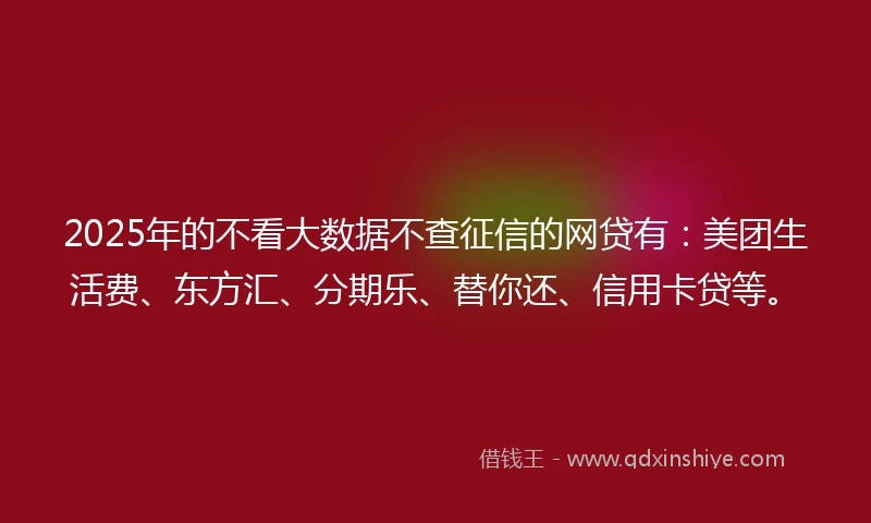 2025年的不看大数据不查征信的网贷有：美团生活费、东方汇、分期乐、替你还、信用卡贷等。