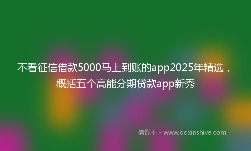 不看征信借款5000马上到账的app2025年精选，概括五个高能分期贷款app新秀