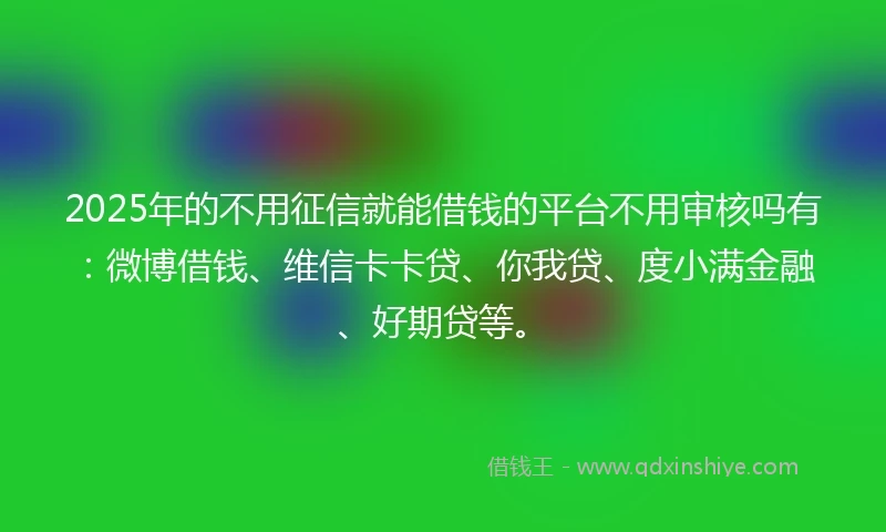 2025年的不用征信就能借钱的平台不用审核吗有：微博借钱、维信卡卡贷、你我贷、度小满金融、好期贷等。