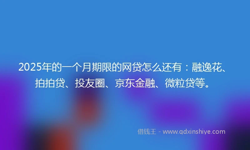 2025年的一个月期限的网贷怎么还有：融逸花、拍拍贷、投友圈、京东金融、微粒贷等。