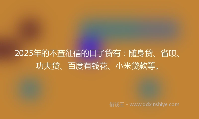 2025年的不查征信的口子贷有：随身贷、省呗、功夫贷、百度有钱花、小米贷款等。