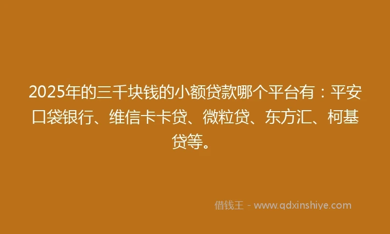 2025年的三千块钱的小额贷款哪个平台有：平安口袋银行、维信卡卡贷、微粒贷、东方汇、柯基贷等。