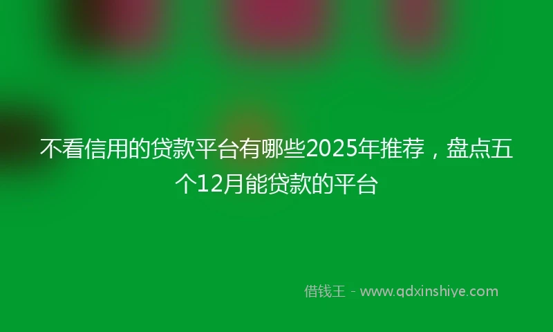不看信用的贷款平台有哪些2025年推荐，盘点五个12月能贷款的平台