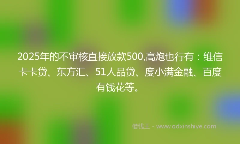 2025年的不审核直接放款500,高炮也行有：维信卡卡贷、东方汇、51人品贷、度小满金融、百度有钱花等。