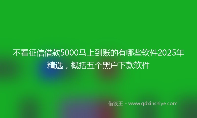不看征信借款5000马上到账的有哪些软件2025年精选，概括五个黑户下款软件