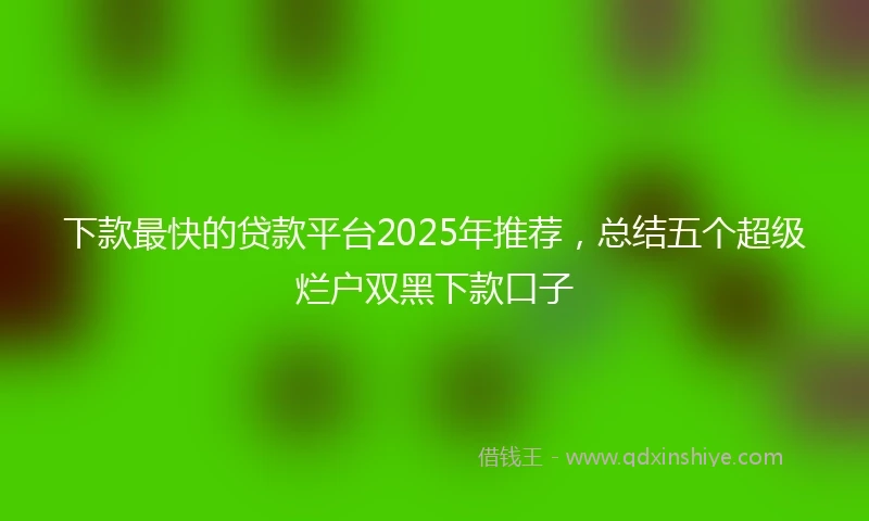 下款最快的贷款平台2025年推荐，总结五个超级烂户双黑下款口子