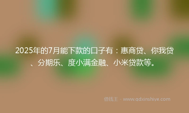 2025年的7月能下款的口子有：惠商贷、你我贷、分期乐、度小满金融、小米贷款等。