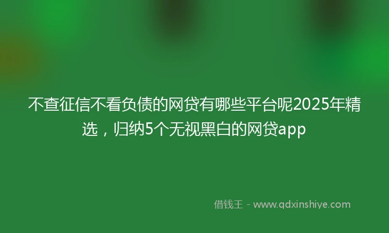 不查征信不看负债的网贷有哪些平台呢2025年精选,归纳5个无视黑白的网贷app