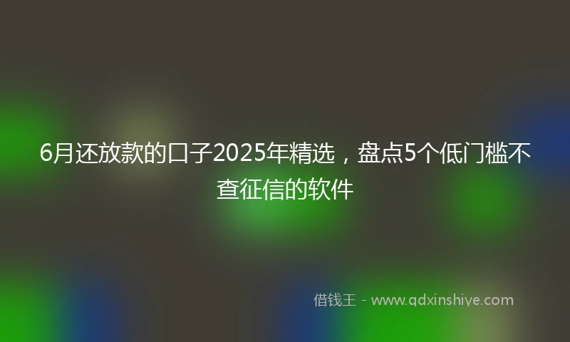 6月还放款的口子2025年精选，盘点5个低门槛不查征信的软件