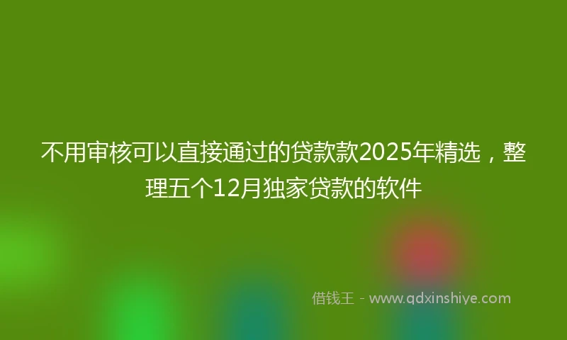 不用审核可以直接通过的贷款款2025年精选，整理五个12月独家贷款的软件