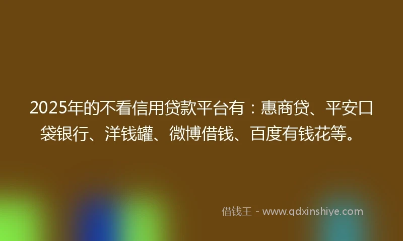 2025年的不看信用贷款平台有：惠商贷、平安口袋银行、洋钱罐、微博借钱、百度有钱花等。