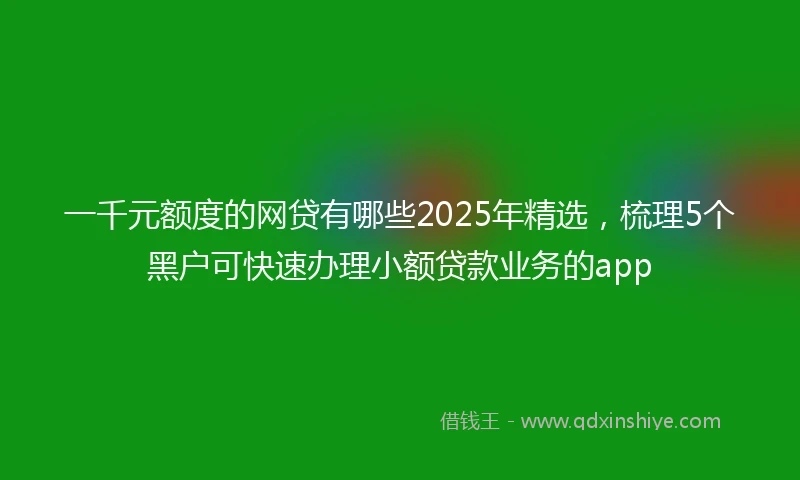 一千元额度的网贷有哪些2025年精选，梳理5个黑户可快速办理小额贷款业务的app