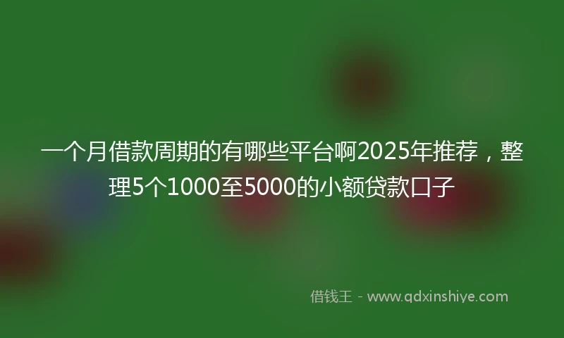 一个月借款周期的有哪些平台啊2025年推荐，整理5个1000至5000的小额贷款口子