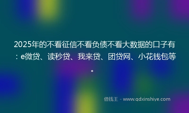 2025年的不看征信不看负债不看大数据的口子有：e微贷、读秒贷、我来贷、团贷网、小花钱包等。