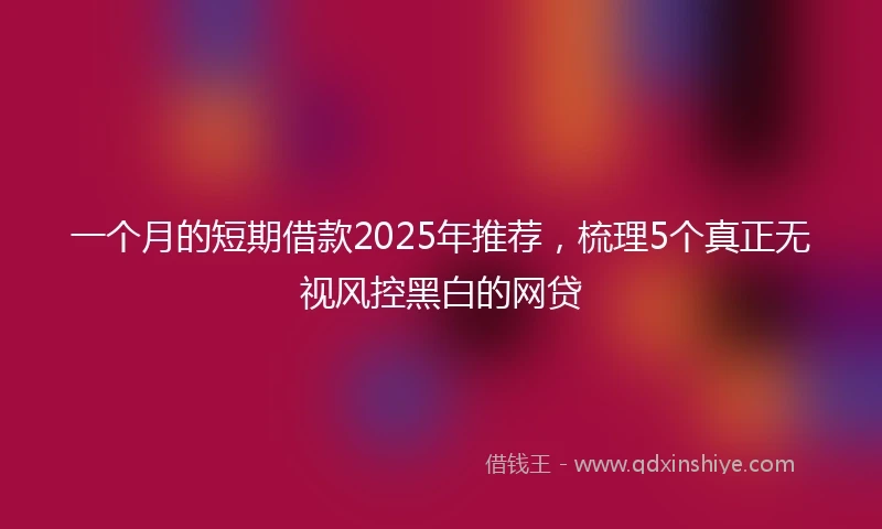 一个月的短期借款2025年推荐，梳理5个真正无视风控黑白的网贷