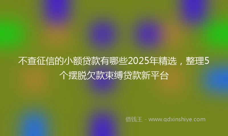 不查征信的小额贷款有哪些2025年精选,整理5个摆脱欠款束缚贷款新平台