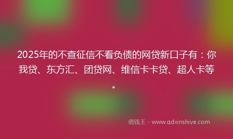 2025年的不查征信不看负债的网贷新口子有：你我贷、东方汇、团贷网、维信卡卡贷、超人卡等。