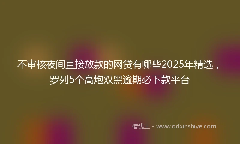 不审核夜间直接放款的网贷有哪些2025年精选，罗列5个高炮双黑逾期必下款平台
