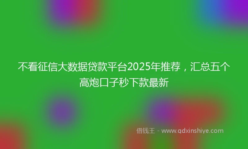 不看征信大数据贷款平台2025年推荐，汇总五个高炮口子秒下款最新