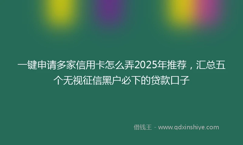 一键申请多家信用卡怎么弄2025年推荐，汇总五个无视征信黑户必下的贷款口子