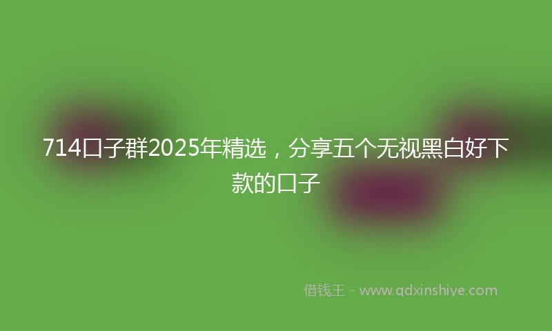 714口子群2025年精选，分享五个无视黑白好下款的口子