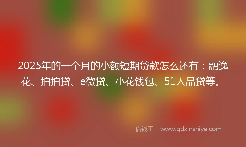 2025年的一个月的小额短期贷款怎么还有：融逸花、拍拍贷、e微贷、小花钱包、51人品贷等。