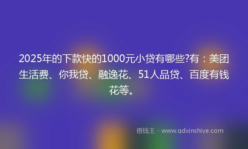 2025年的下款快的1000元小贷有哪些?有：美团生活费、你我贷、融逸花、51人品贷、百度有钱花等。