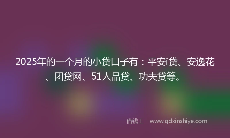 2025年的一个月的小贷口子有：平安i贷、安逸花、团贷网、51人品贷、功夫贷等。
