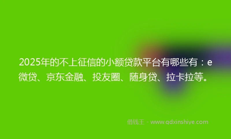 2025年的不上征信的小额贷款平台有哪些有：e微贷、京东金融、投友圈、随身贷、拉卡拉等。