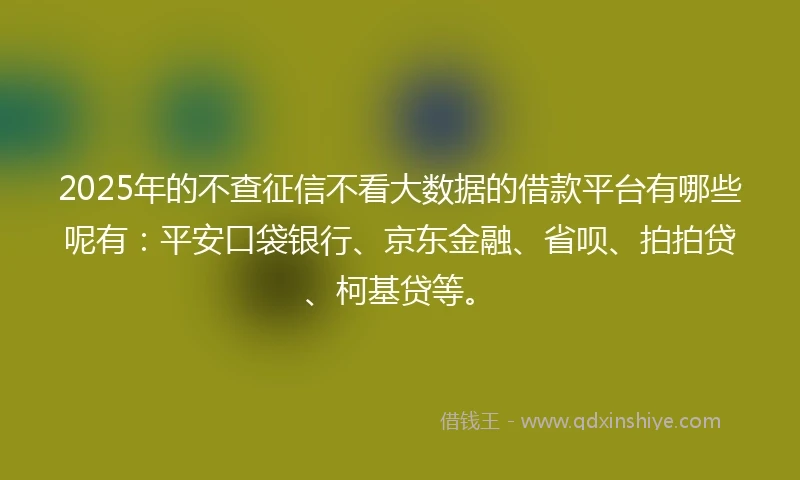 2025年的不查征信不看大数据的借款平台有哪些呢有：平安口袋银行、京东金融、省呗、拍拍贷、柯基贷等。