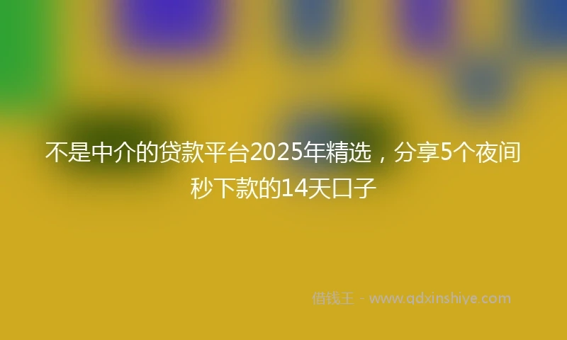 不是中介的贷款平台2025年精选，分享5个夜间秒下款的14天口子
