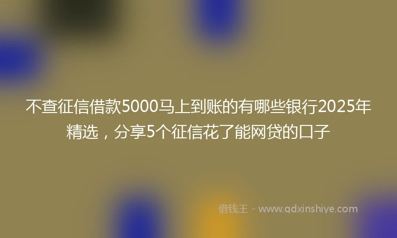 不查征信借款5000马上到账的有哪些银行2025年精选，分享5个征信花了能网贷的口子