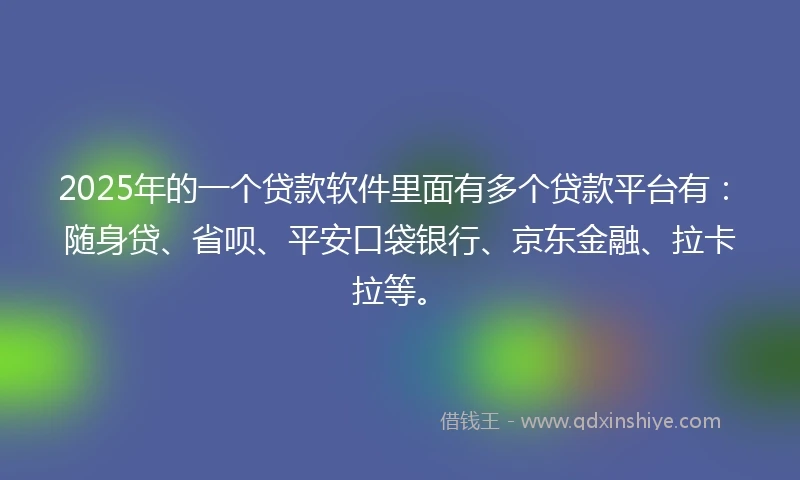 2025年的一个贷款软件里面有多个贷款平台有：随身贷、省呗、平安口袋银行、京东金融、拉卡拉等。