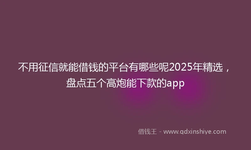 不用征信就能借钱的平台有哪些呢2025年精选，盘点五个高炮能下款的app