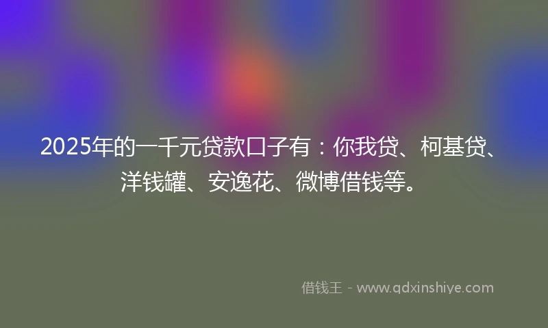 2025年的一千元贷款口子有：你我贷、柯基贷、洋钱罐、安逸花、微博借钱等。