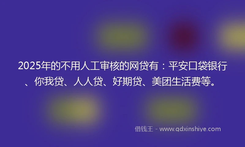2025年的不用人工审核的网贷有：平安口袋银行、你我贷、人人贷、好期贷、美团生活费等。