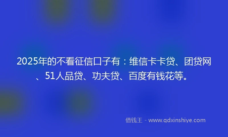 2025年的不看征信口子有：维信卡卡贷、团贷网、51人品贷、功夫贷、百度有钱花等。