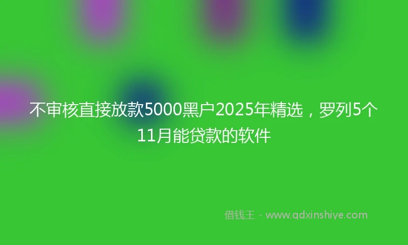 不审核直接放款5000黑户2025年精选，罗列5个11月能贷款的软件